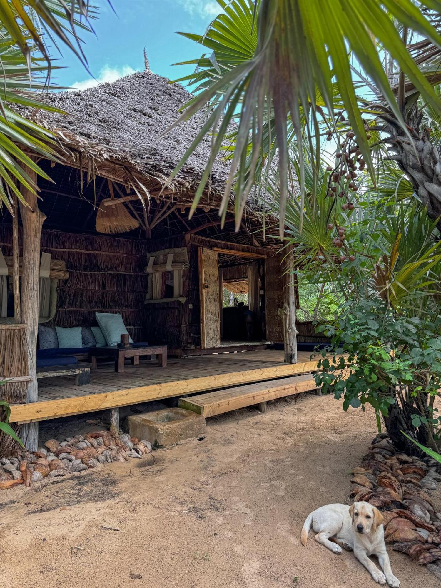 Che Shale Hotel Mambrui Ngoại thất bức ảnh